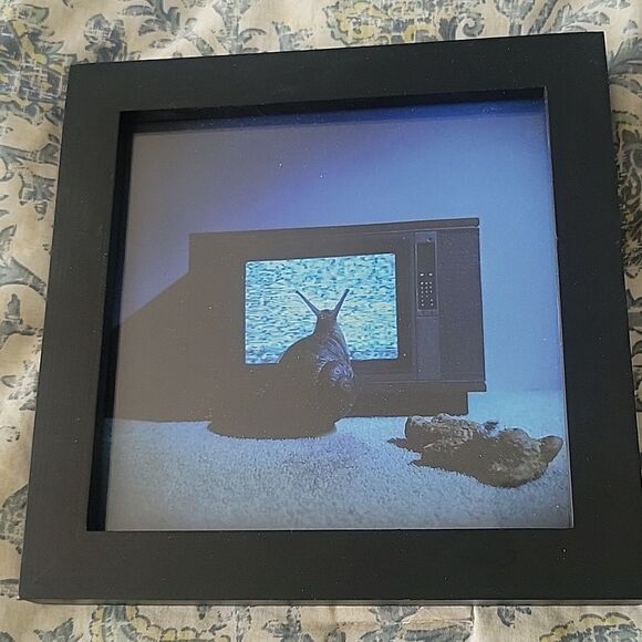 Set 2 Snail photographs works of art, Poltergeist and grandma's cart - Picture 2 of 5